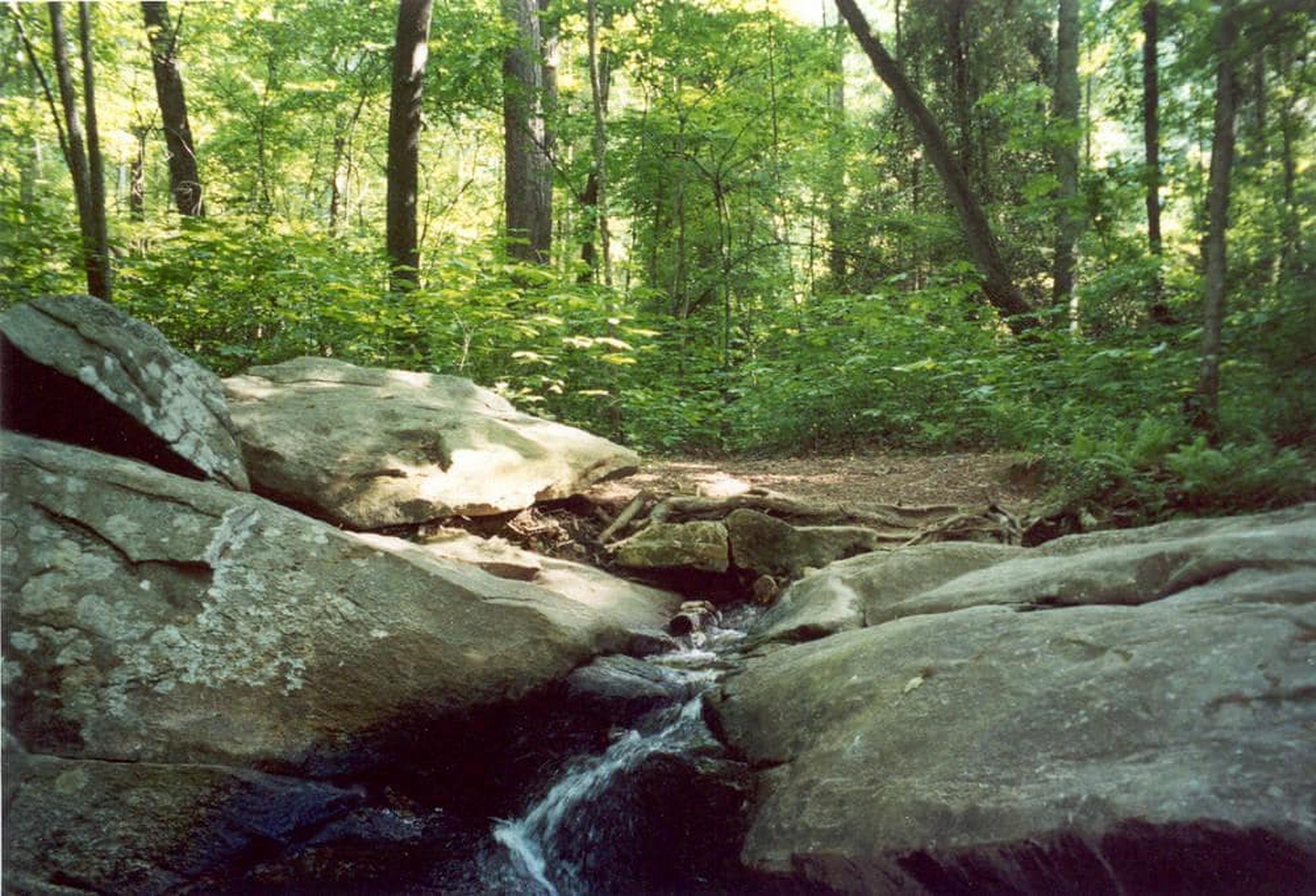 Atlanta Evergreen Lakeside Resort Stone Mountain Exterior foto